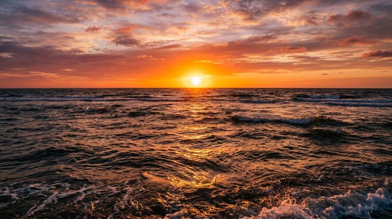 Ocean Heat Peak Thought to Have Passed Since Spring as August 22 Breaks a Record Not Seen Since 1979