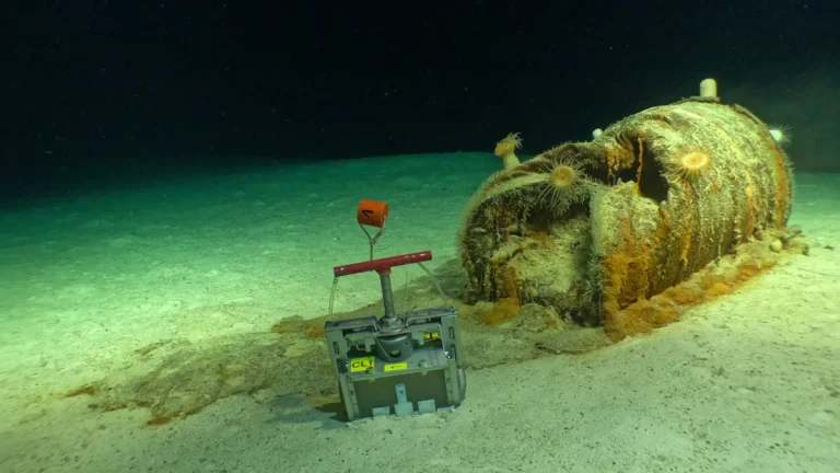 French Scientists Descend to 4,700 m to View 200,000 Radioactive Barrels Submerged in the Atlantic as Animals Take Up Residence on Them