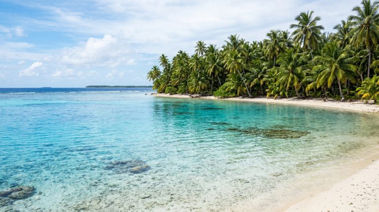 Coconut Trees on a Pacific Atoll Have Drained the Lagoon of Manta Rays Since 1957