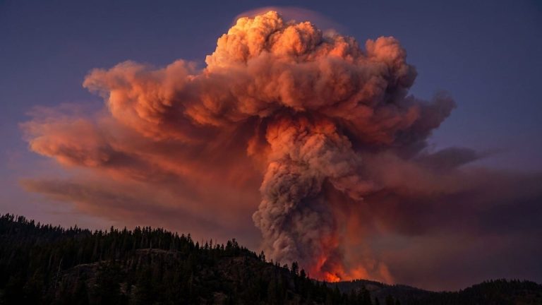 Satellite Imagery Models Predict Fire Clouds 24 Hours Ahead
