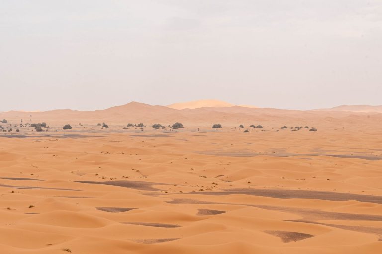 COP17 Desertification Conference Ends Without a Significant Agreement