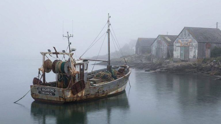 Newfoundland Cod Collapse: Factory Trawlers Put 30,000 Fishermen Out of Work in 1992