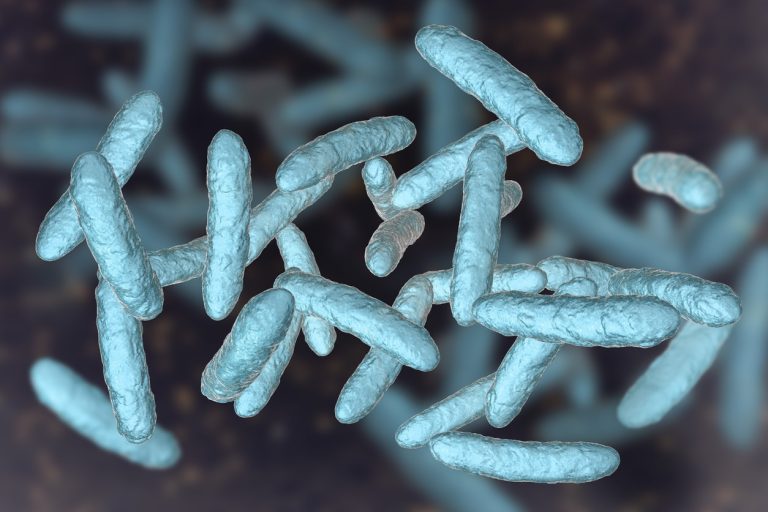 Are Gut Microbiome Test Kits a Good Idea? No—Here’s Why