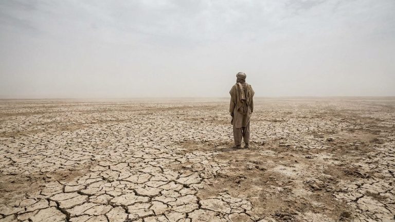 Four African Countries Divert Water from Tributaries to Irrigate Their Fields, Draining the Lake That Fed Tens of Millions