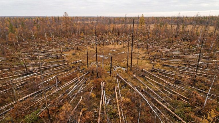 Explosion Expected to Leave a Crater in Siberia: Scientists Find None