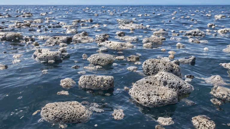 Do Rocks Always Sink? 2012 Pacific Volcano Spawned a 400 km² Pumice Raft