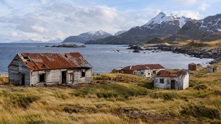 Ruins of a French Village in a Kerguelen Bay Since 1931, Only 600 of 1,600 Sheep Arrived Alive