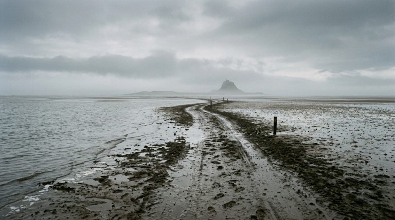 Essex Coast: A Centuries-Old Trail Locals Refuse to Walk Without Knowing the Rules
