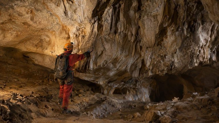 1.6 km of galleries, 150 engravings, and a Defense Ministry chef: in Dordogne, what lay at the bottom of bear dens wasn’t bears