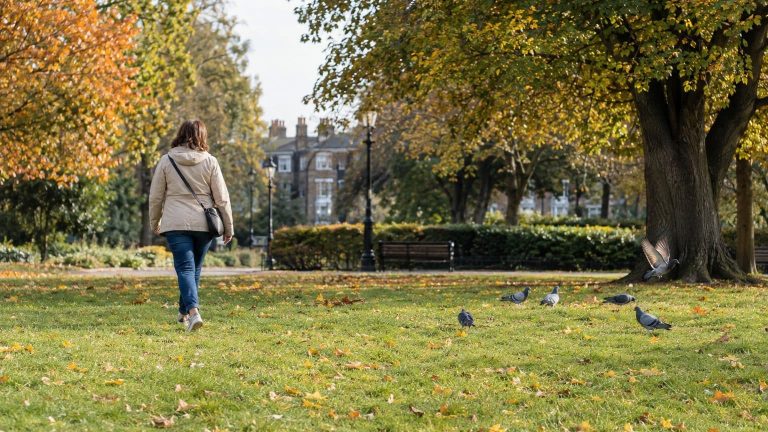 Researchers Approach European Park Birds: Flight Triggers Revealed—Size and Coat Don’t Matter