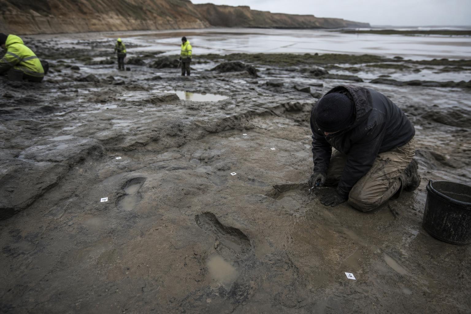 Footprints left on a Norfolk beach 850 000 years ago were made by a family that should never have been in Britain