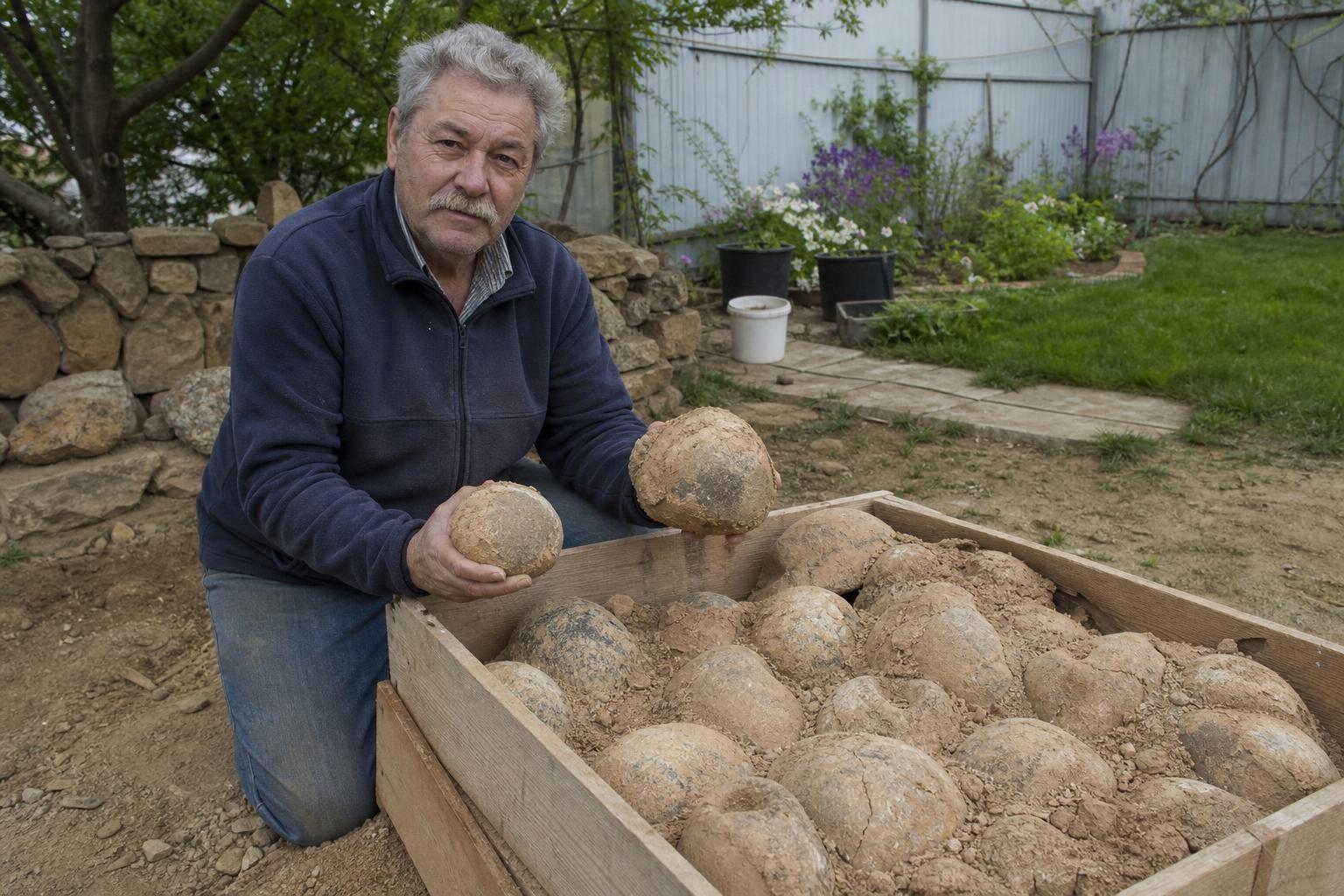 For years he decorated his garden with strange rocks: they turned out to be dinosaur eggs